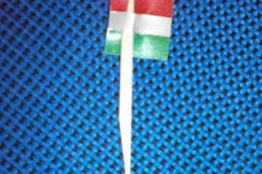 11933382_844937612280320_2680066933565868435_n