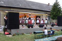 SDC12246