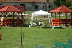 SDC14909