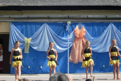 SDC14946