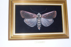 SDC14504