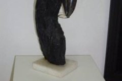 SDC14517