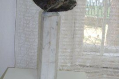 SDC14527