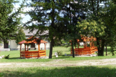 SDC12304