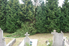 sdc10980