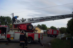 sdc10991